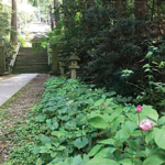 14. 二所山田神社