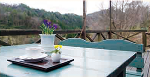 1. 花と喫茶 さくや(山野草の庭)