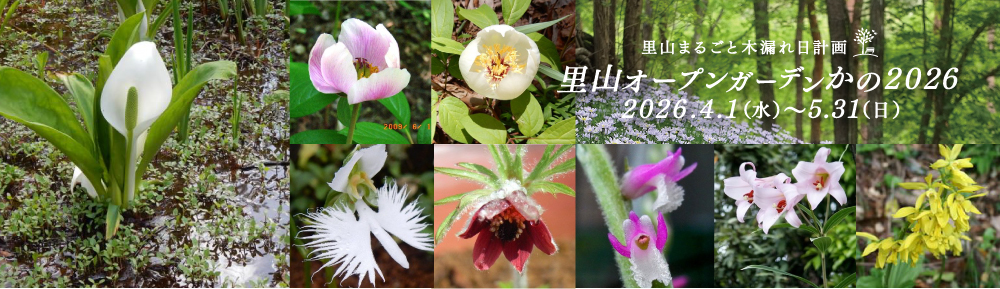 鹿野の風プロジェクト